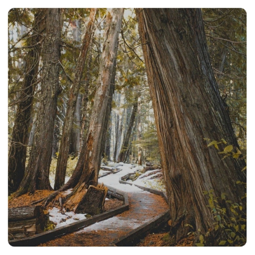 Where's Your Happy Place?